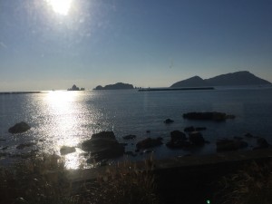 IMG_1282