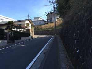 IMG_1509